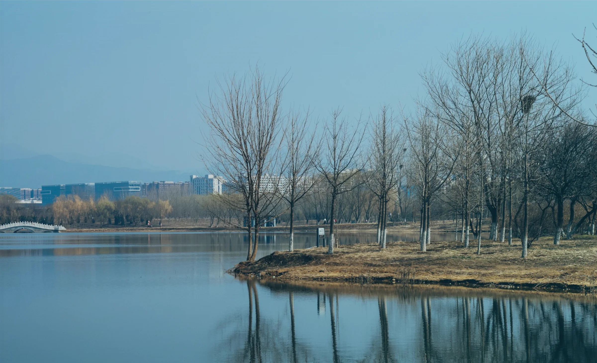 Urban lake and trees near a city skyline — environmental monitoring area covered by S2RE IoT sensors